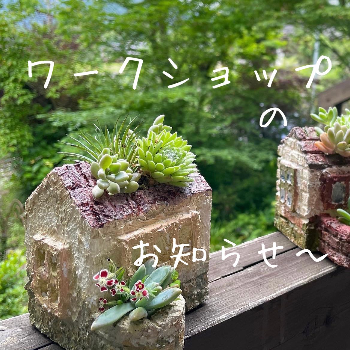 モルタルのワークショップ❣️-アトリエYuki-すごく楽しかったのでうちでやる事になりました！もちろん　花番地さんに来てもらいます。やってみませんか？お家を建てて壁を塗って着色します。7/24 月曜日　10:00〜16:00ご興味のある方はメッセージでお知らせ下さい️楽しい一日を過ごしましょう••#あとりえYuki #atorieyuki #福井県小浜市 #手芸店 #手芸屋 #手芸教室やってます #モルタルハウス #ワークショップやります #多肉植物のある暮し #花番地いつもありがとう️