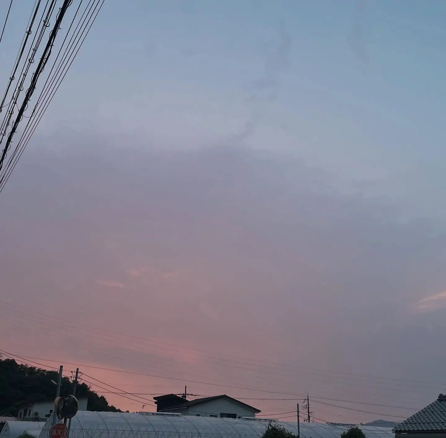 こんなやわらかな夕暮れには。　　ーあとりえYukiーこんなやわらかな風が吹く夕暮れふと　ゆきと散歩に行きたくなる今頃　生まれ変わってどこかのお家で第二の犬生を送ってるんだろうか相変わらず　吠えまくってるのかなあ大きな足のツメが　アスファルトにあたる音が聞こえたような…一度くらい夢に出てきてくれてもいいと思うんだけどね・・ #atorieyuki